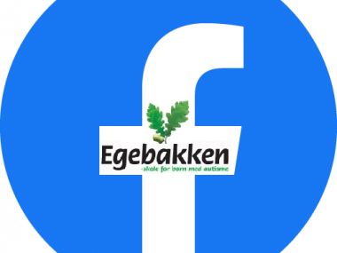 Facebooks logo vises